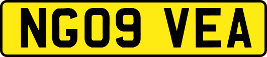 NG09VEA