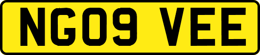 NG09VEE