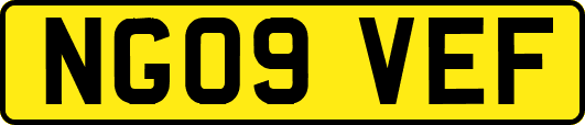NG09VEF