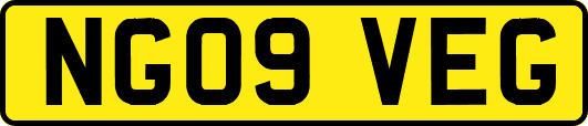 NG09VEG