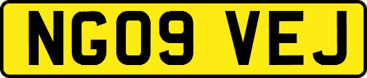 NG09VEJ
