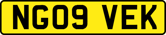 NG09VEK