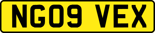 NG09VEX