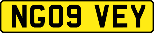 NG09VEY