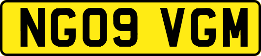 NG09VGM