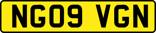 NG09VGN