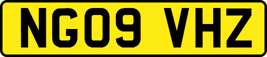 NG09VHZ