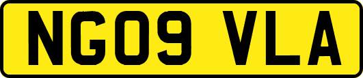 NG09VLA