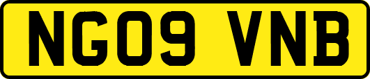 NG09VNB
