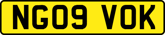NG09VOK