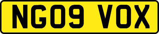 NG09VOX