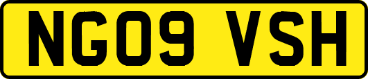 NG09VSH