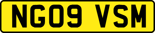NG09VSM