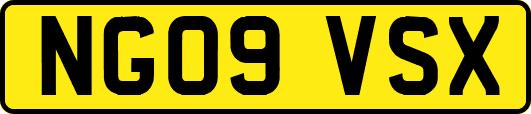 NG09VSX