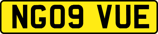 NG09VUE
