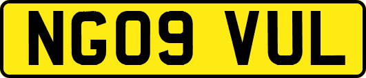 NG09VUL