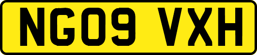 NG09VXH