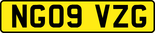 NG09VZG