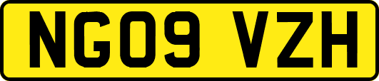 NG09VZH