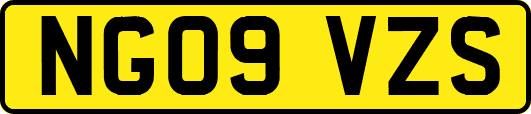 NG09VZS