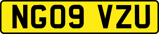 NG09VZU