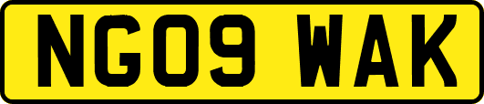 NG09WAK