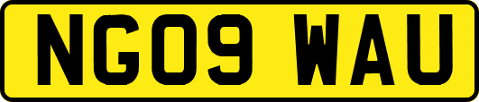NG09WAU