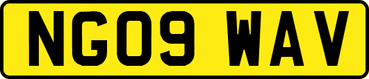 NG09WAV