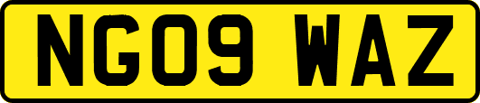 NG09WAZ