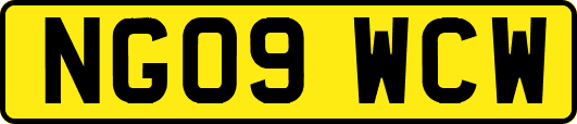 NG09WCW