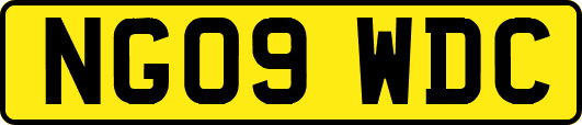 NG09WDC