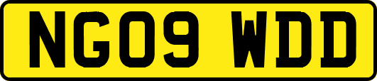 NG09WDD