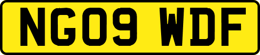 NG09WDF