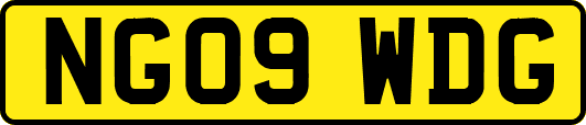 NG09WDG