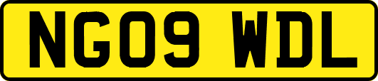 NG09WDL