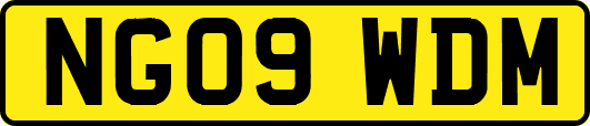 NG09WDM
