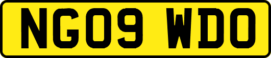 NG09WDO