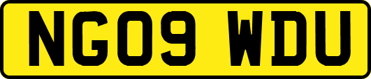NG09WDU