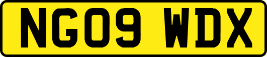 NG09WDX