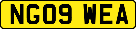 NG09WEA