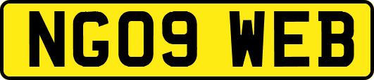 NG09WEB
