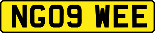 NG09WEE