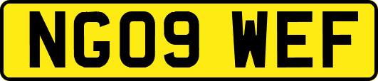 NG09WEF