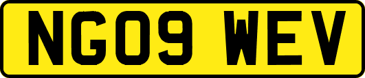 NG09WEV