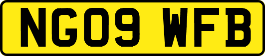 NG09WFB