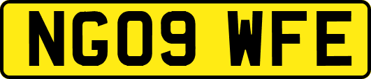 NG09WFE