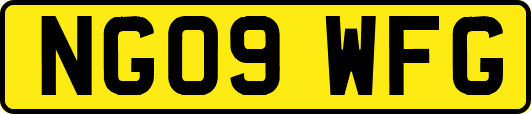 NG09WFG