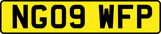 NG09WFP