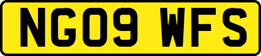 NG09WFS
