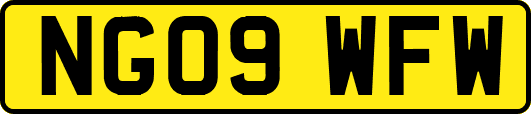 NG09WFW